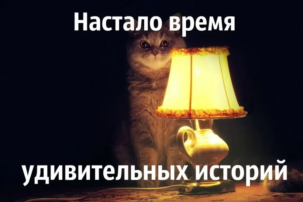 Файловый сервер: самая подробная инструкция в Рунете Изображение 2