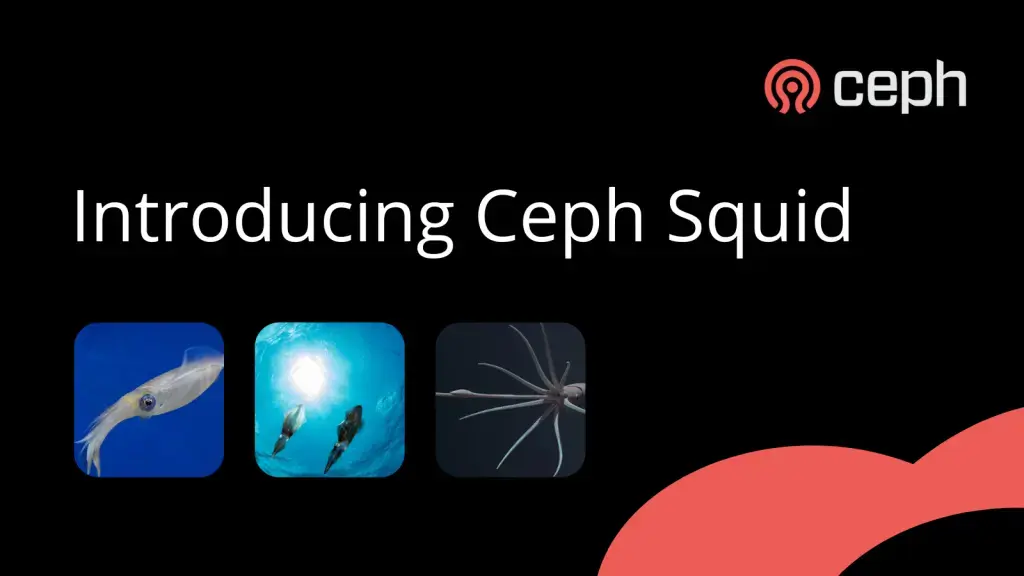 Ceph vs VMware vSAN [часть 1]: обзор и актуальные версии Изображение 9