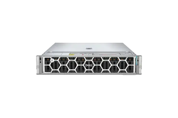210-BNMV-5.png