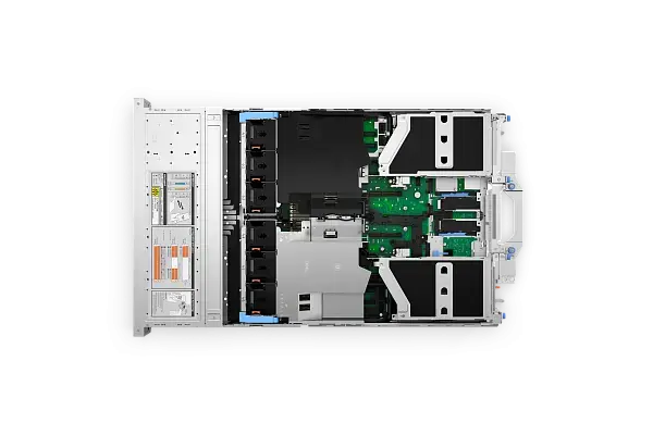210-BNMV-2.png