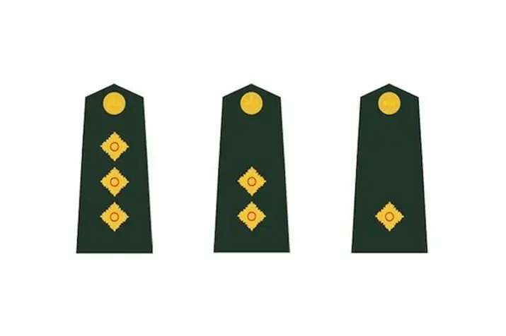 Про ранги и виртуализацию в RAM