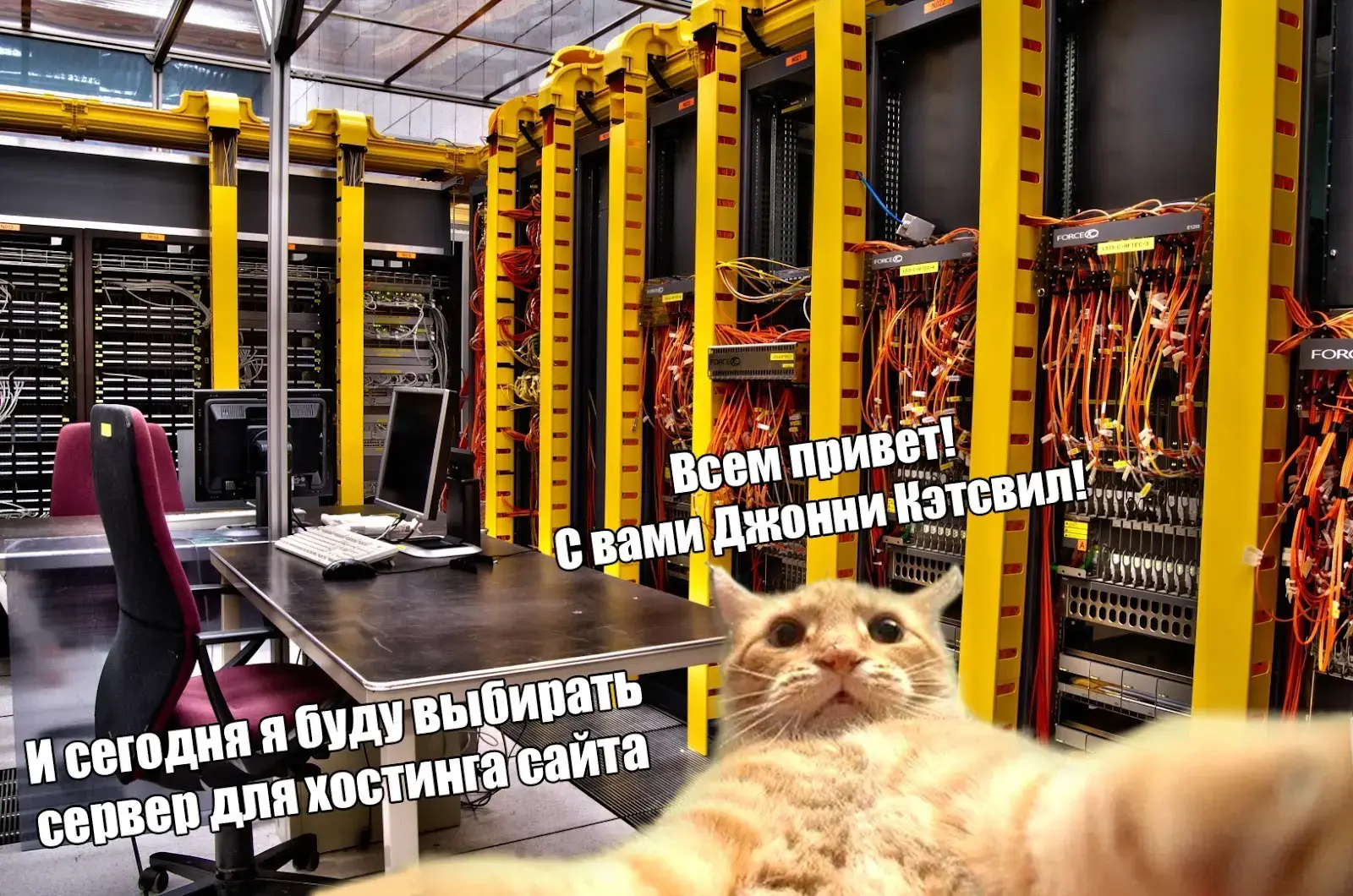 Как выбрать сервер для хостинга сайта